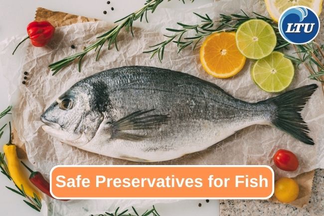 4 Common Preservatives to Preserve Fish